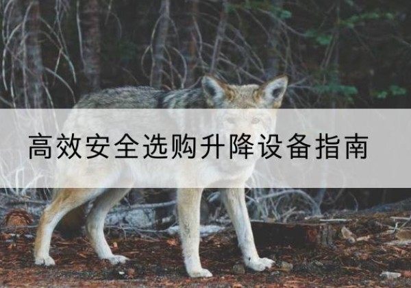 谢家集升降货梯厂家推荐-*安全选购升降设备指南