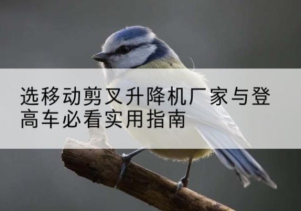 谢家集电动升降机厂家-选移动剪叉升降机厂家与登高车必看实用指南