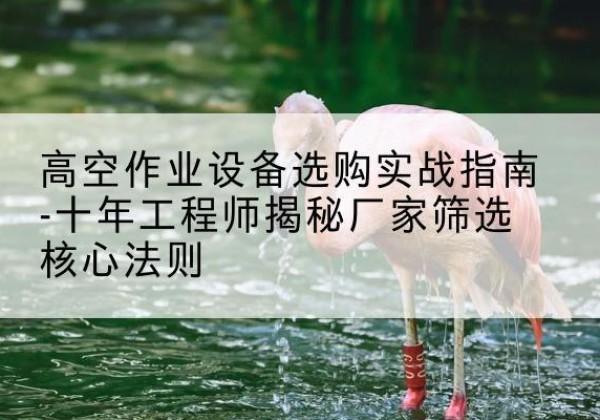谢家集剪叉式升降机厂家-高空作业设备选购实战指南-十年工程师揭秘厂家筛选核心法则